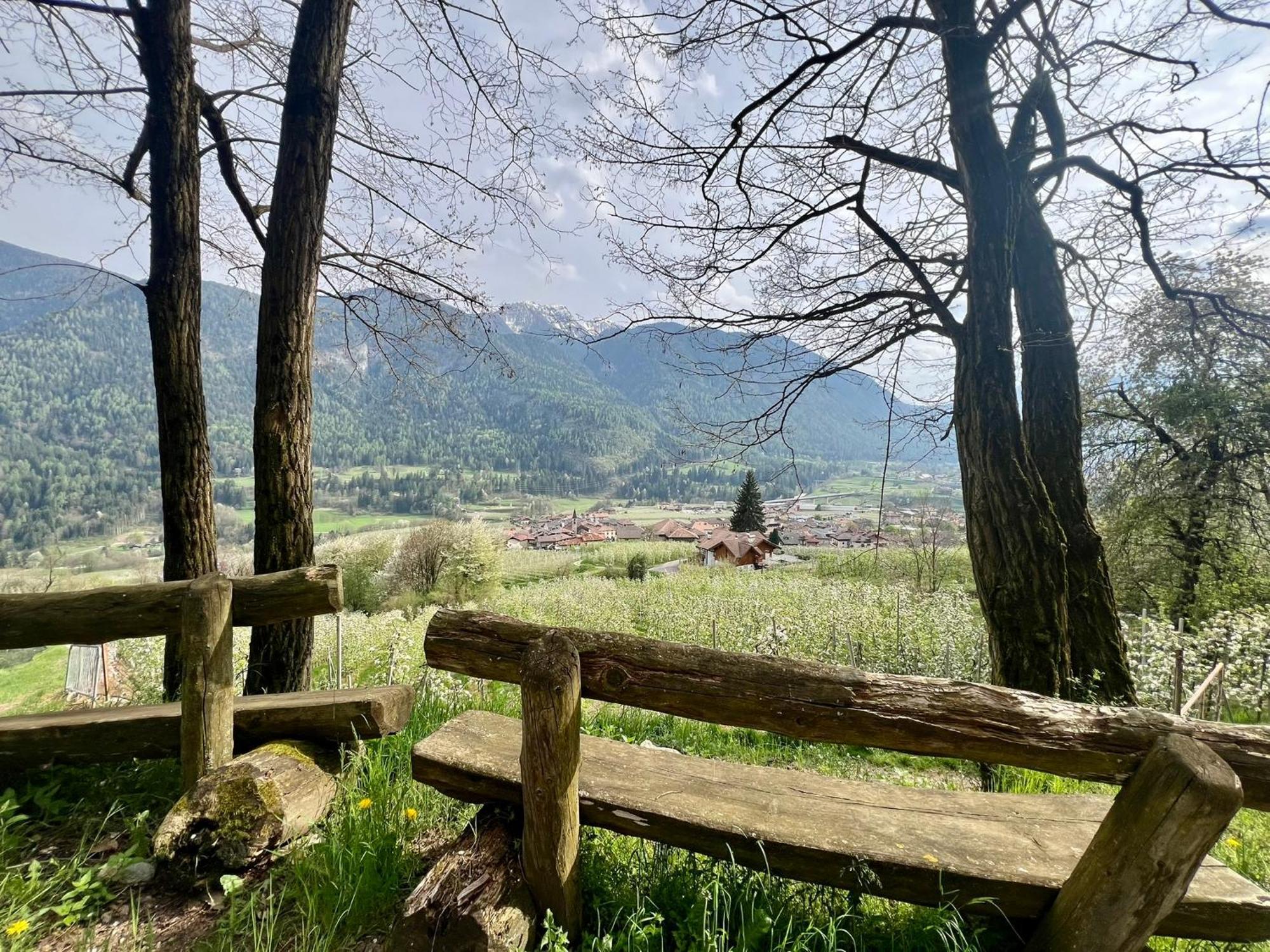 Appartamento La Casa Del Sole Terzolas Esterno foto